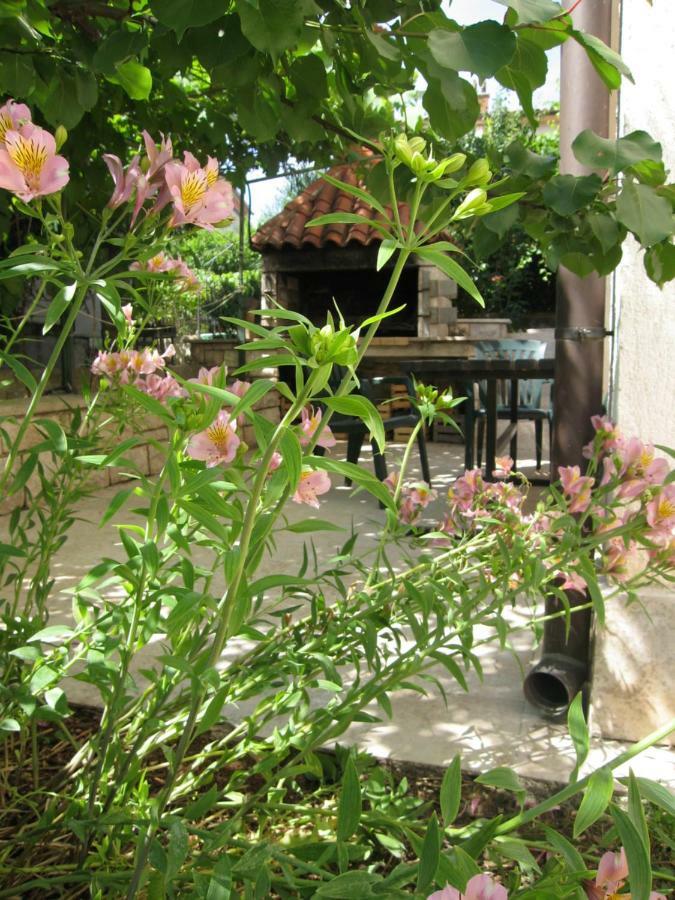 Apartment Petrinic V พูลา ภายนอก รูปภาพ